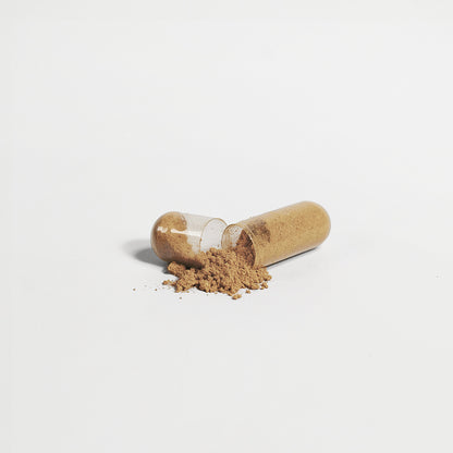 Best Milk Thistle for Liver