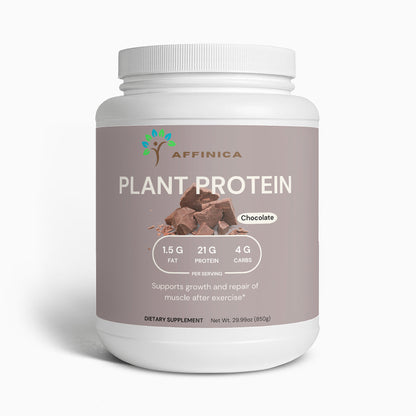Chocolate Plant-Based Protein Powder