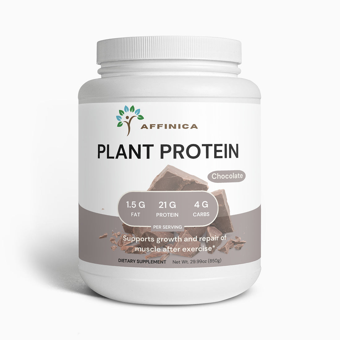 Chocolate Plant-Based Protein Powder