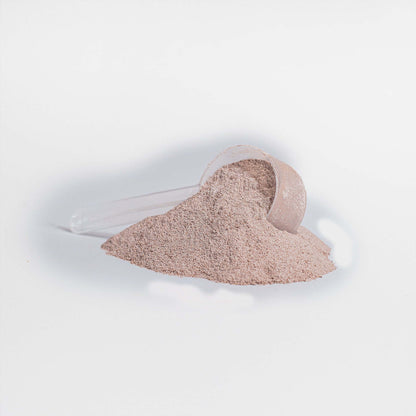 Vanilla Plant-Based Protein Powder one scoop with powder